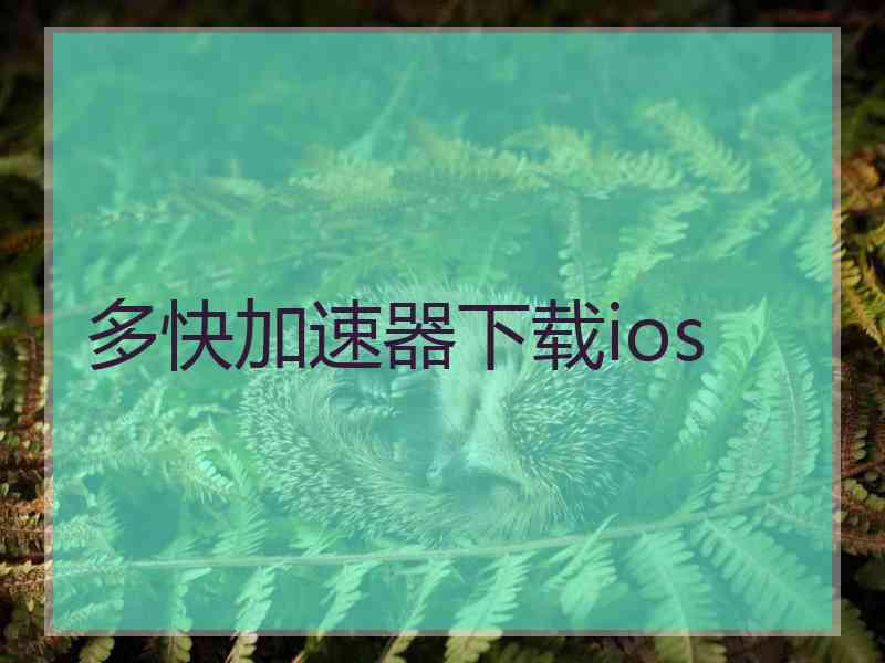 多快加速器下载ios