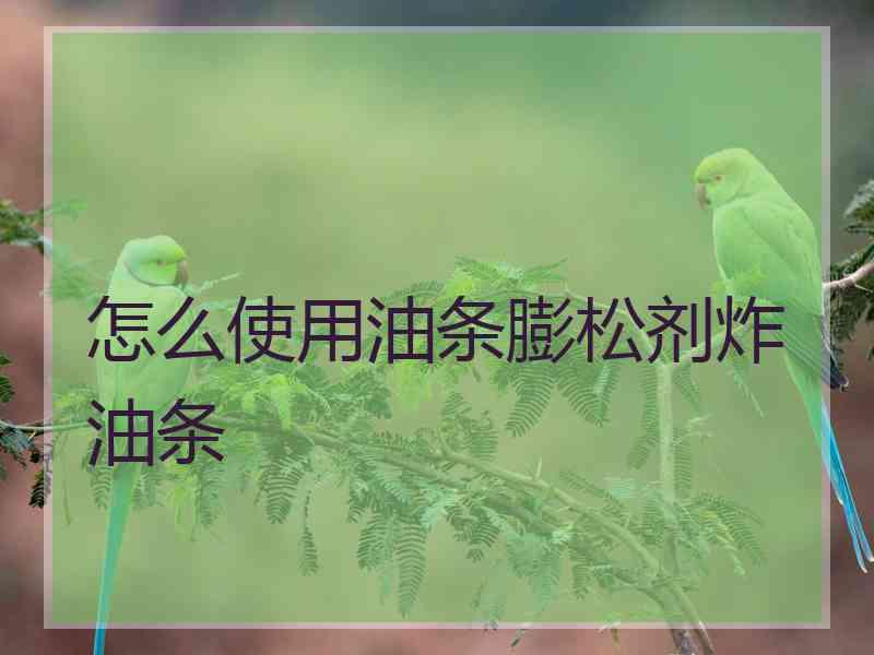 怎么使用油条膨松剂炸油条