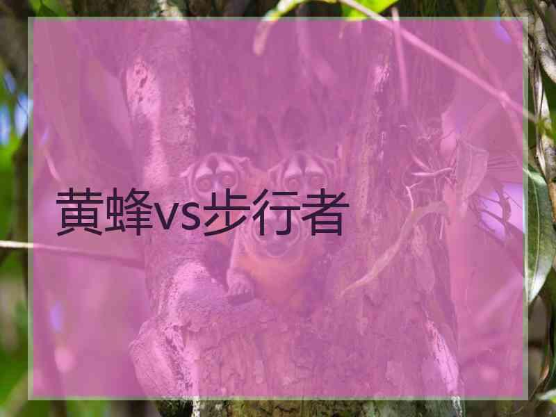 黄蜂vs步行者