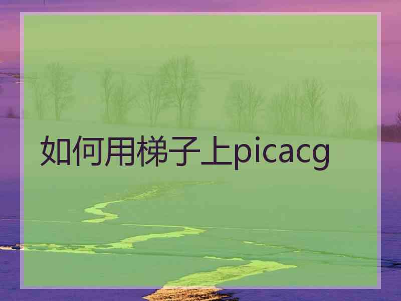 如何用梯子上picacg