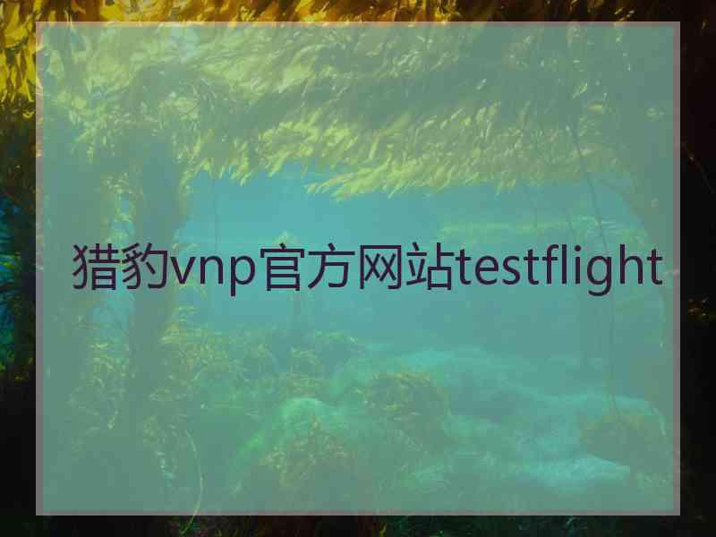 猎豹vnp官方网站testflight