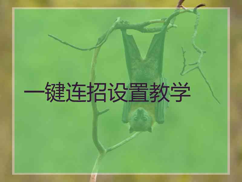 一键连招设置教学