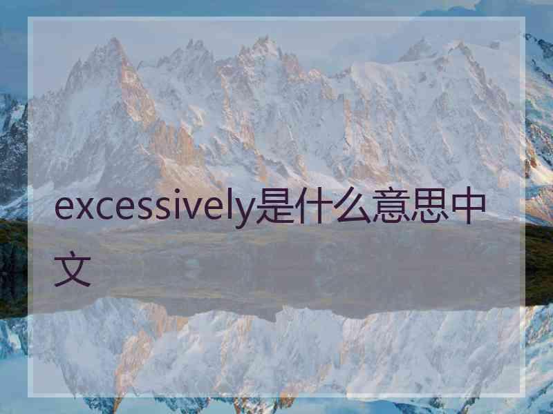 excessively是什么意思中文