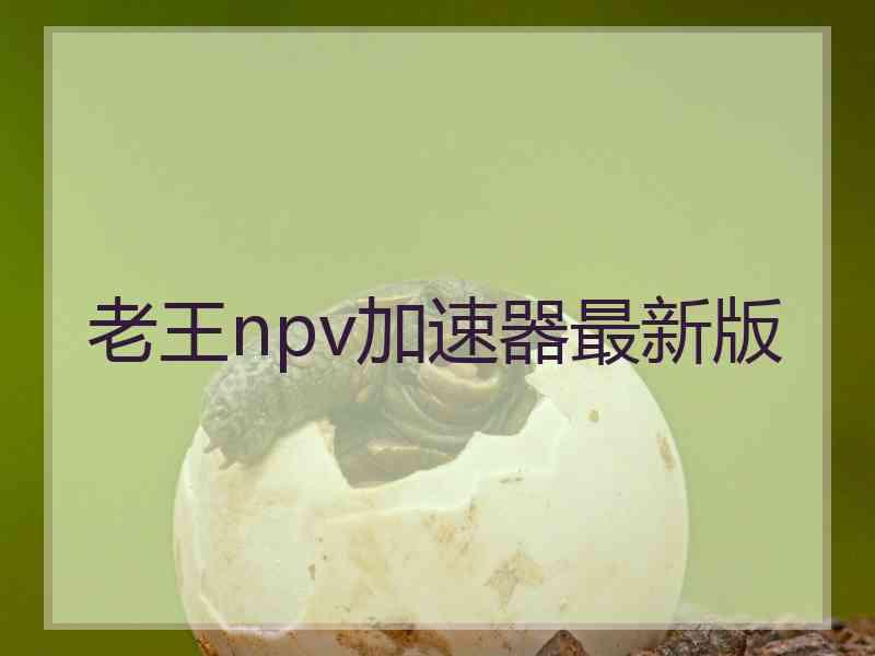 老王npv加速器最新版