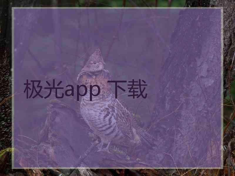 极光app 下载