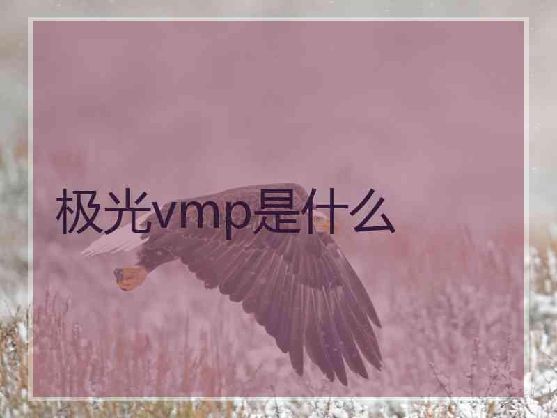 极光vmp是什么