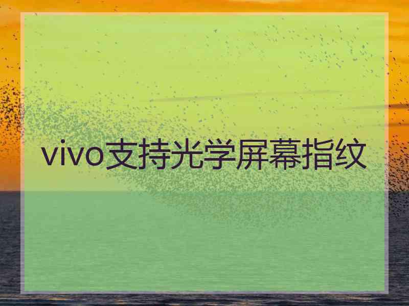 vivo支持光学屏幕指纹