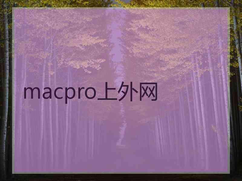 macpro上外网