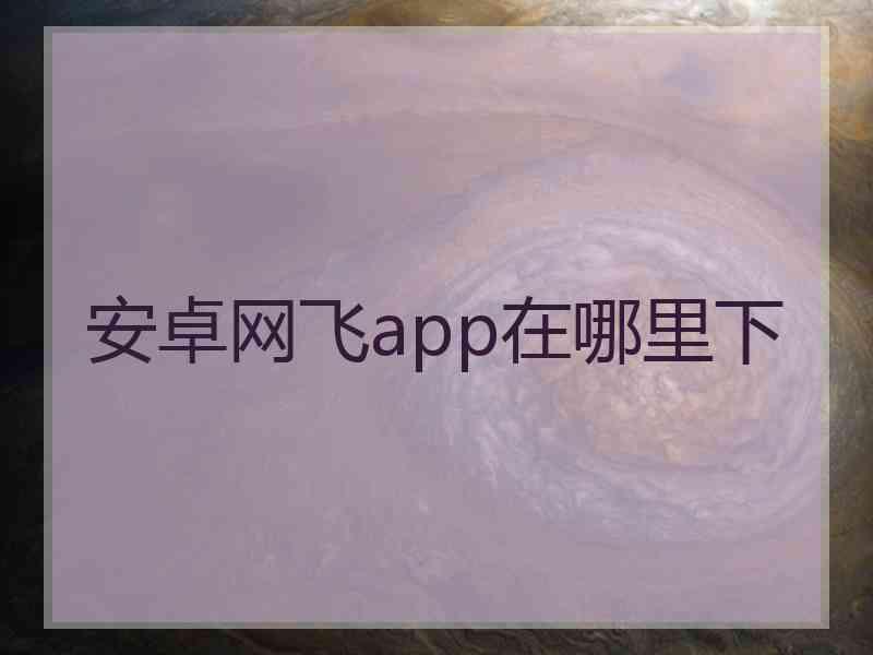 安卓网飞app在哪里下