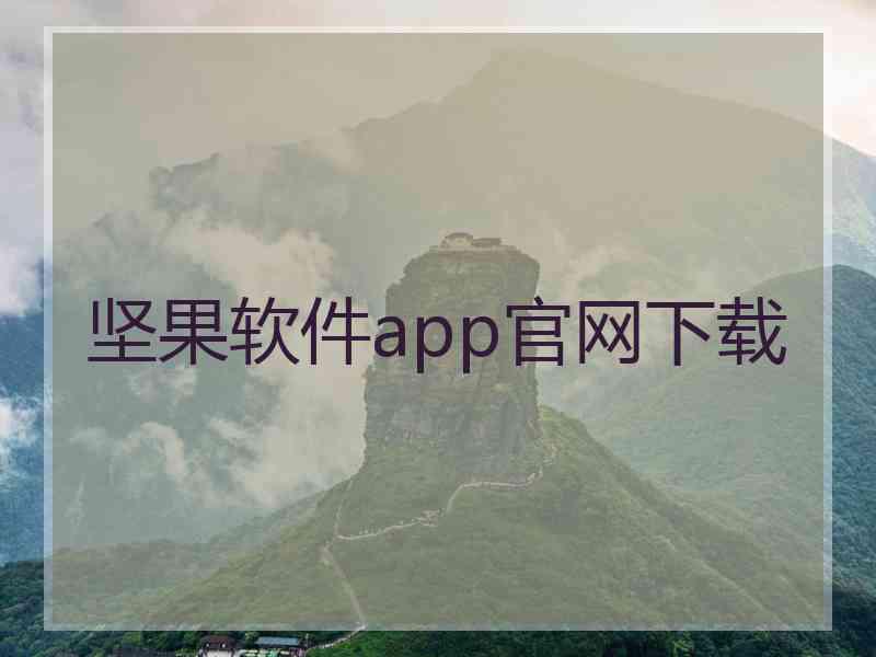 坚果软件app官网下载