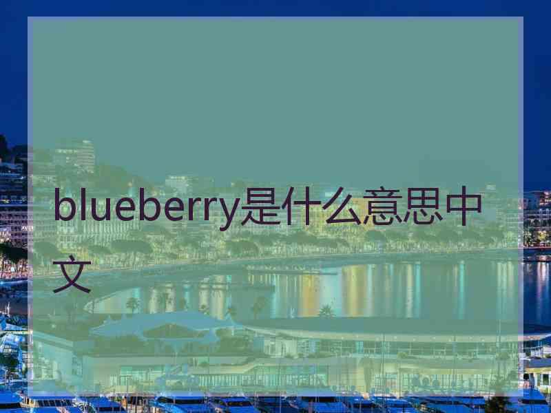 blueberry是什么意思中文