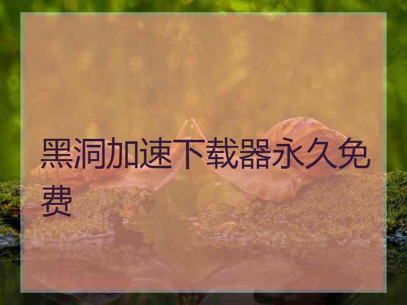 黑洞加速下载器永久免费