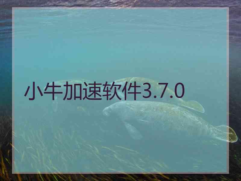 小牛加速软件3.7.0