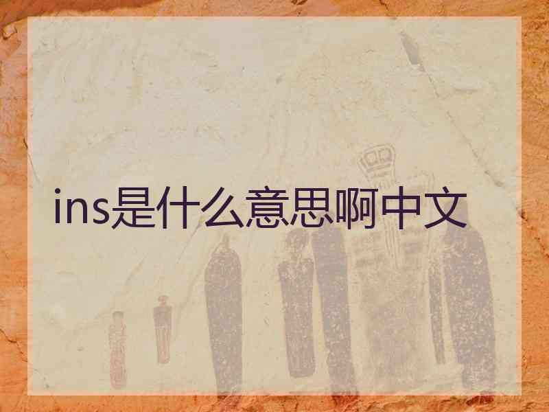 ins是什么意思啊中文