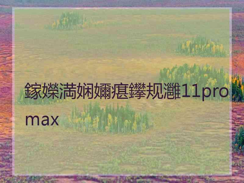 鎵嬫満娴嬭瘎鑻规灉11promax