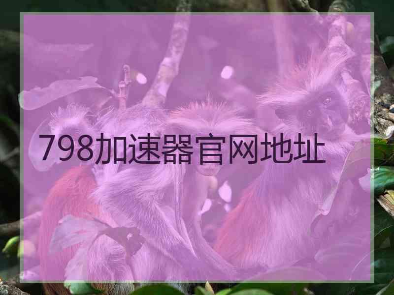 798加速器官网地址