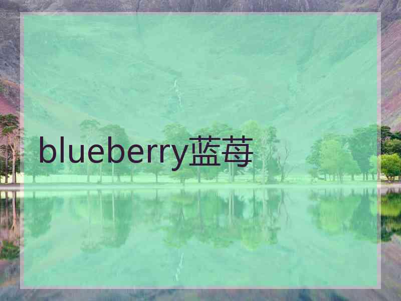 blueberry蓝苺