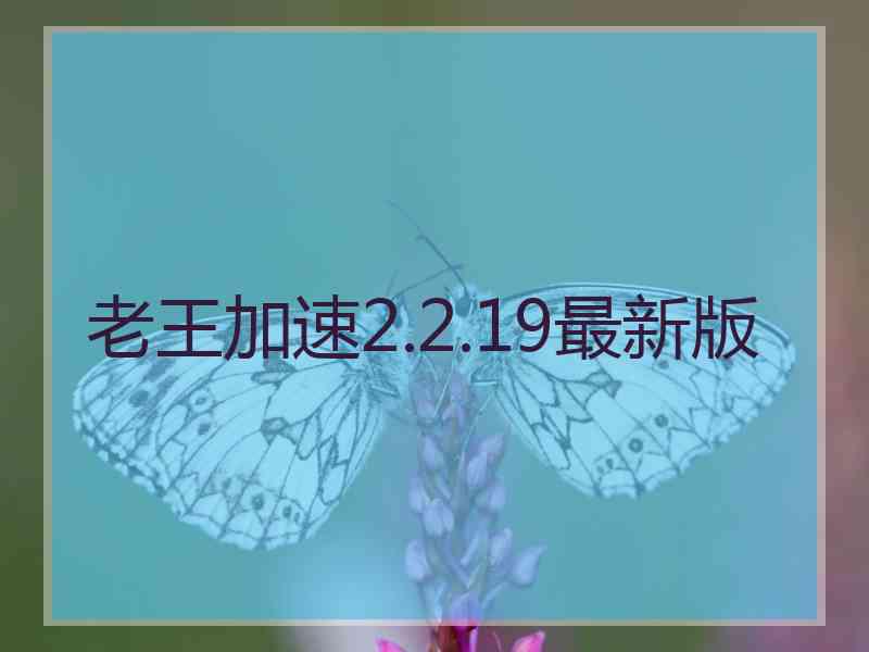 老王加速2.2.19最新版