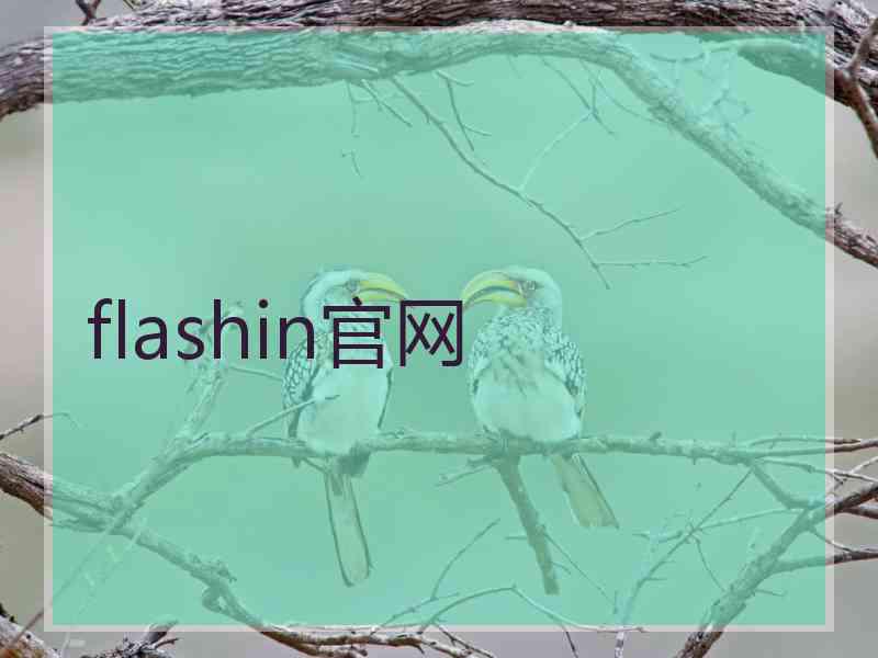 flashin官网