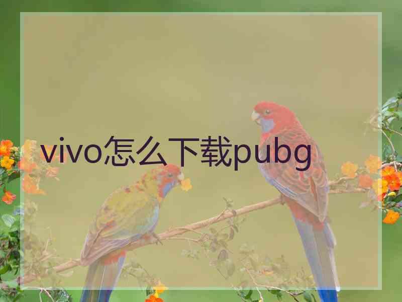 vivo怎么下载pubg