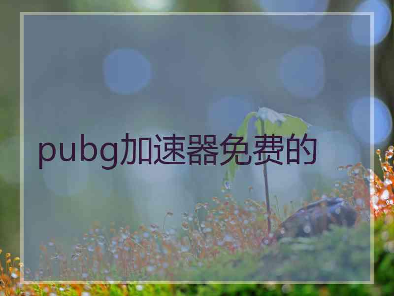 pubg加速器免费的