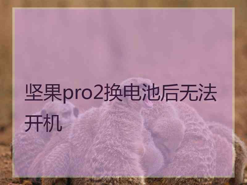 坚果pro2换电池后无法开机