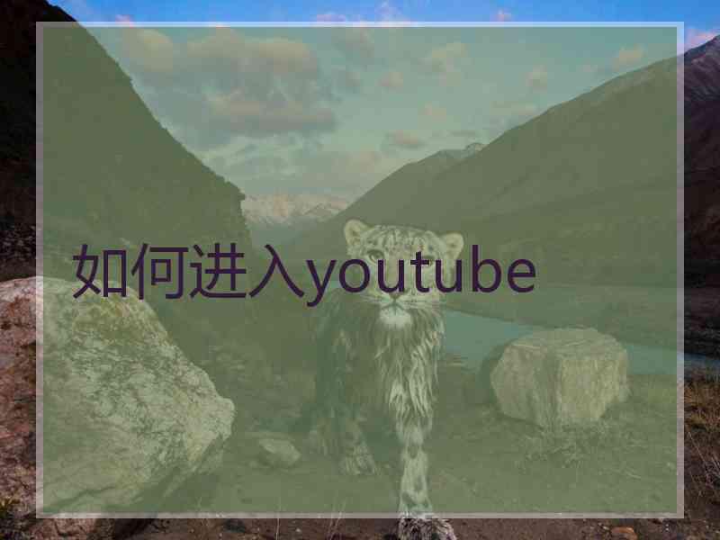 如何进入youtube