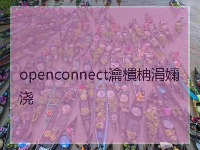 openconnect瀹樻柟涓嬭浇