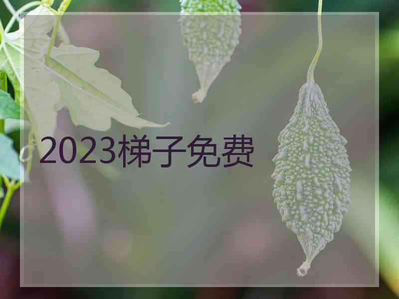 2023梯子免费