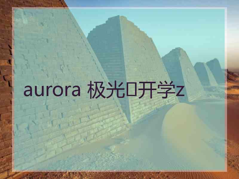 aurora 极光✨开学z