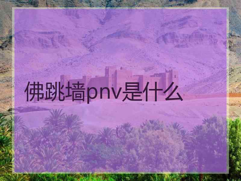 佛跳墙pnv是什么