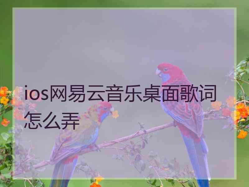 ios网易云音乐桌面歌词怎么弄