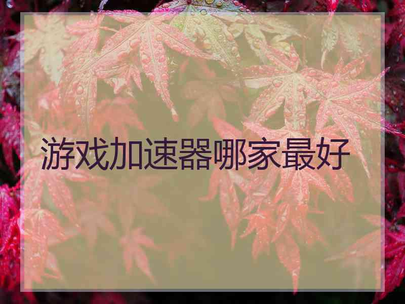 游戏加速器哪家最好