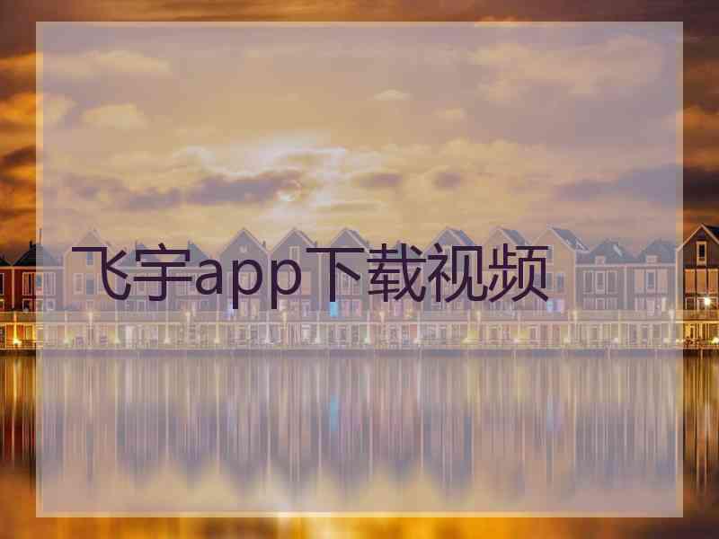 飞宇app下载视频