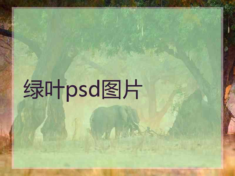 绿叶psd图片