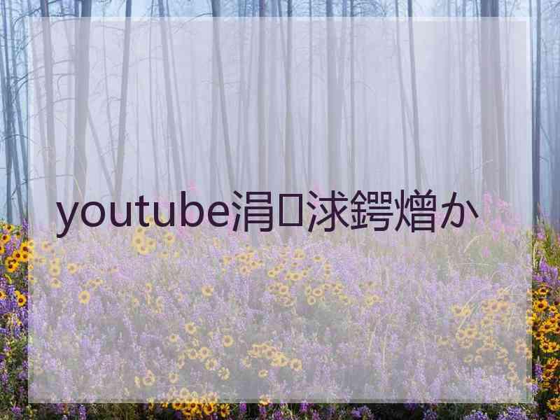 youtube涓浗鍔熷か