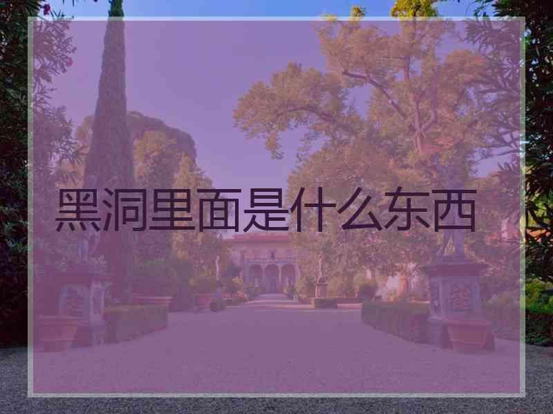 黑洞里面是什么东西