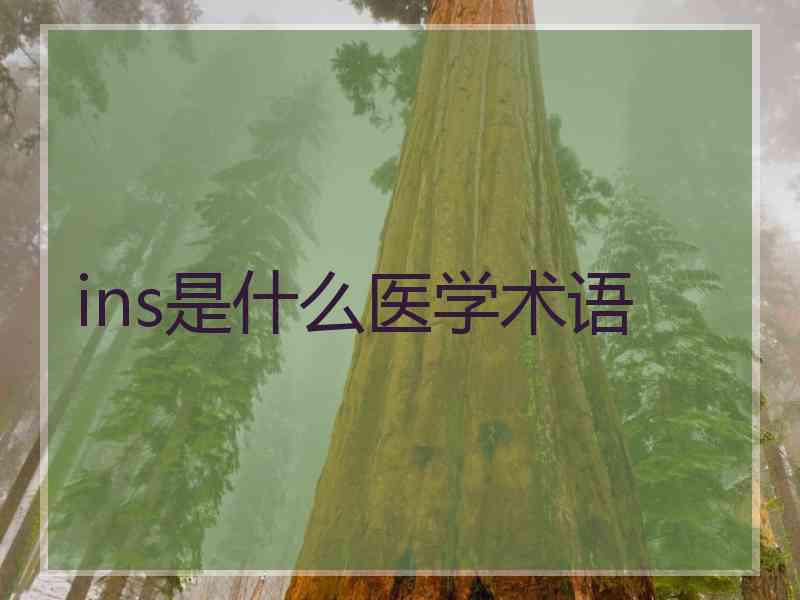 ins是什么医学术语