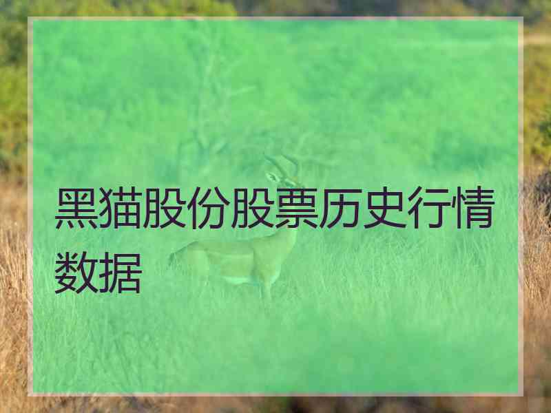 黑猫股份股票历史行情数据