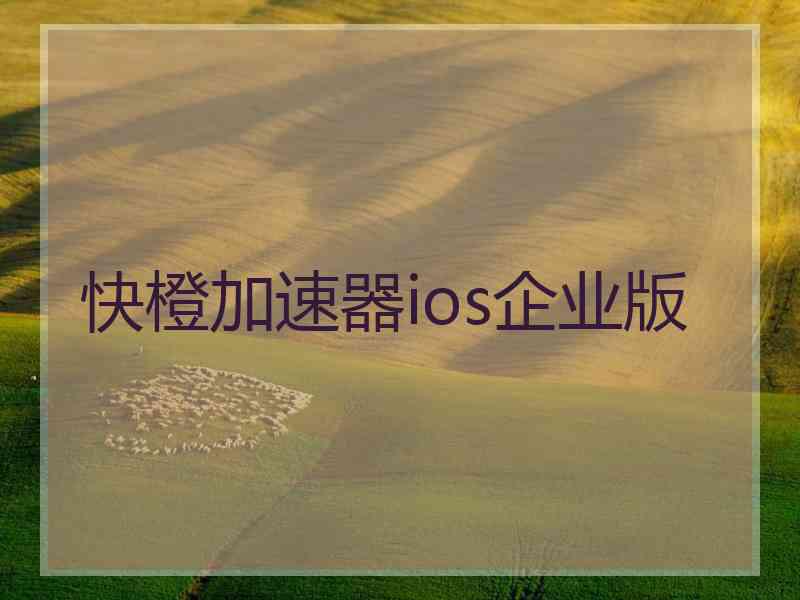 快橙加速器ios企业版