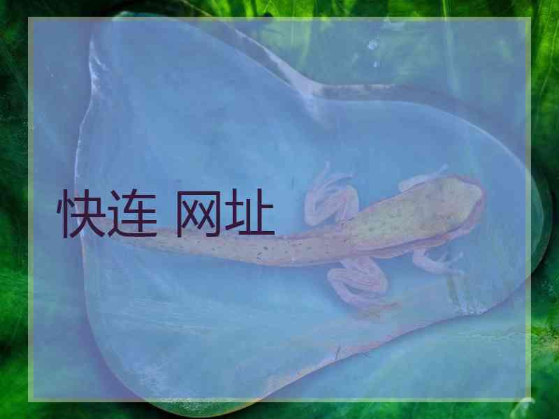 快连 网址