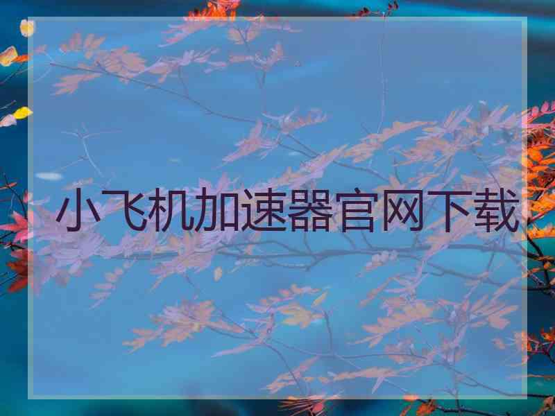 小飞机加速器官网下载