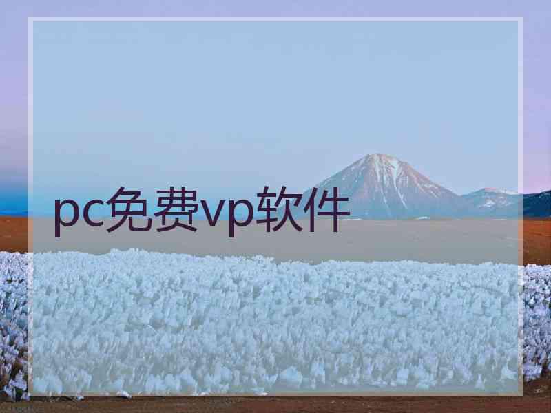 pc免费vp软件