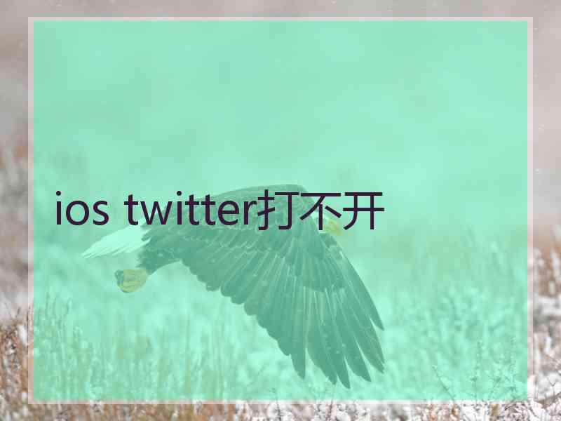 ios twitter打不开