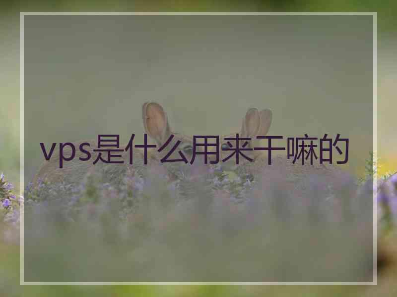 vps是什么用来干嘛的