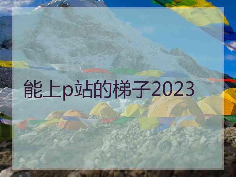 能上p站的梯子2023