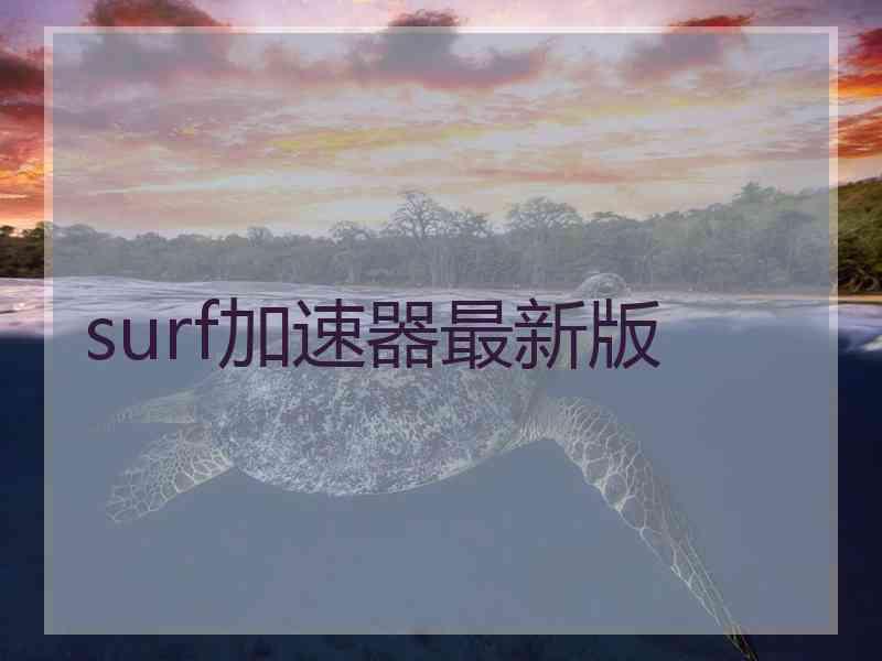 surf加速器最新版