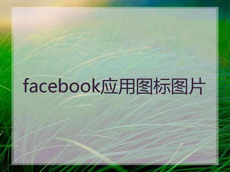 facebook应用图标图片