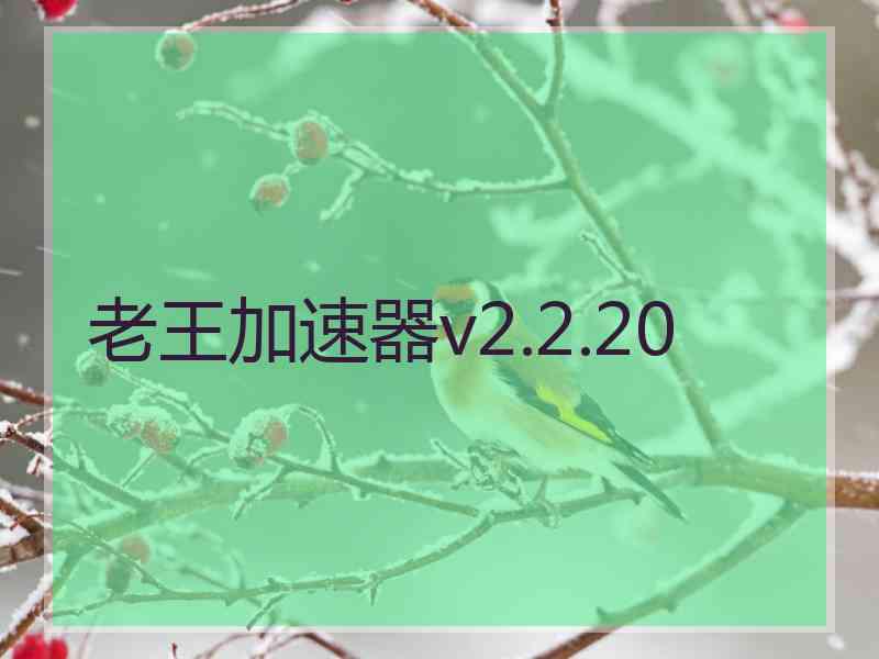 老王加速器v2.2.20