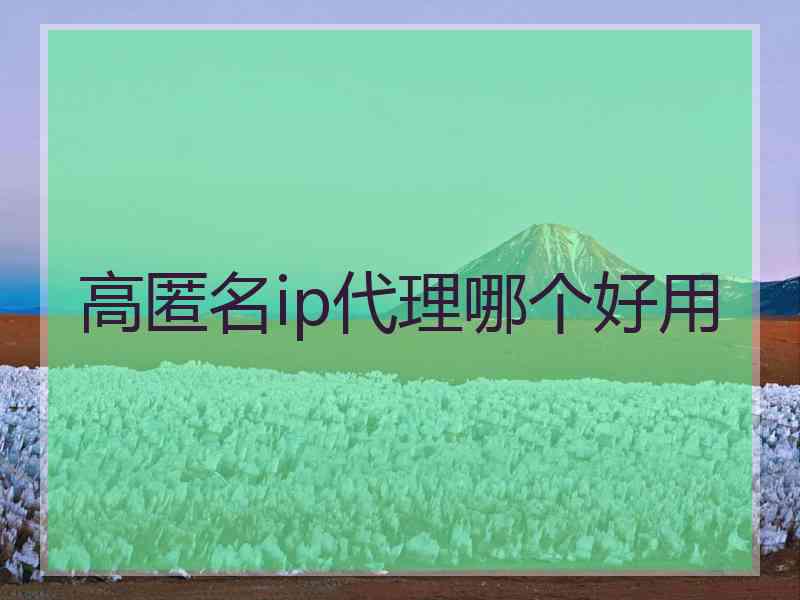 高匿名ip代理哪个好用